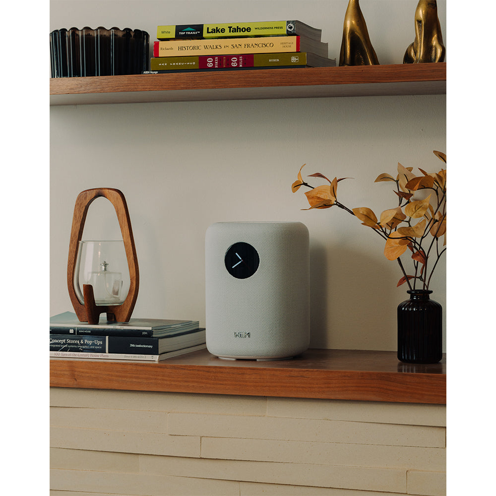 WiiM SOUND Wireless Multiroom Smart Speaker with Display - White