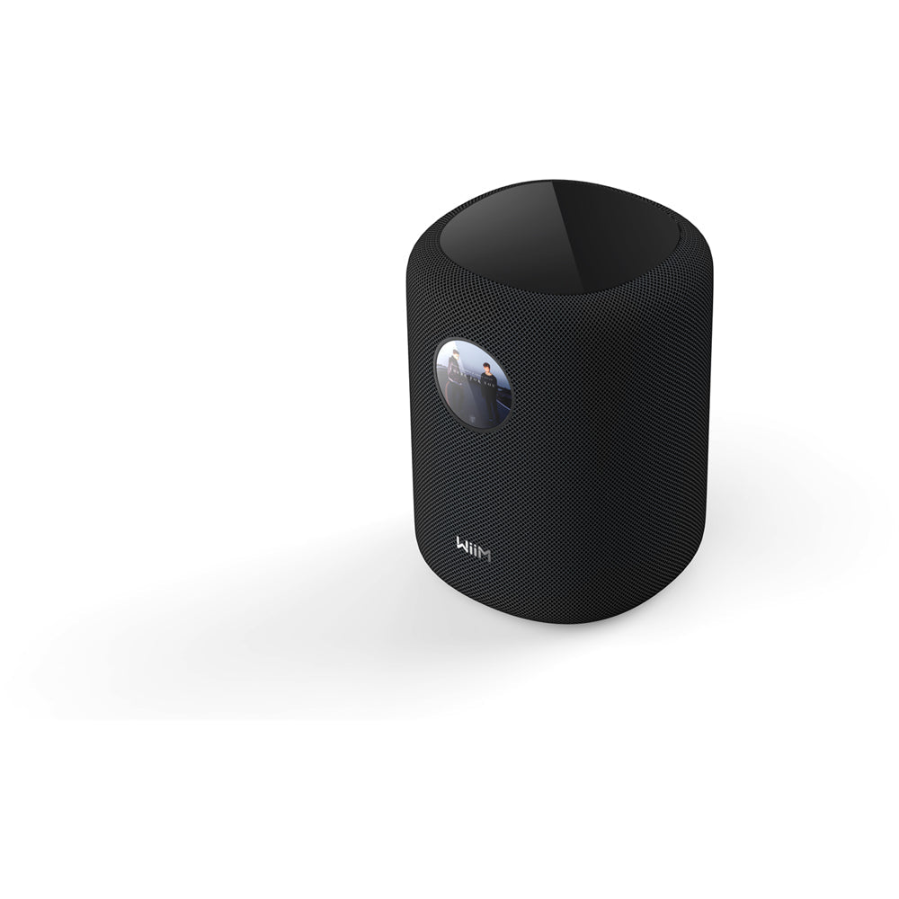 WiiM Sound Wireless Smart Speaker with WiiM NorStone Floor Stand (Single) - Black