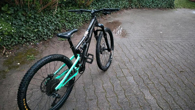 Rocky Mountain Reaper