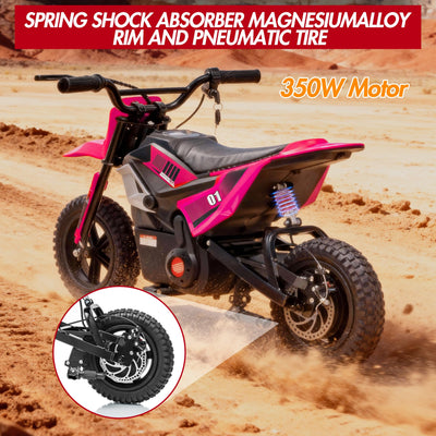Garvee 24V Electric Kids Dirt Bike 350W Motor Rear Suspension Leather Seat Bluetooth Music Black Blue Green Red Rose Ages 10+ Outdoor Fun