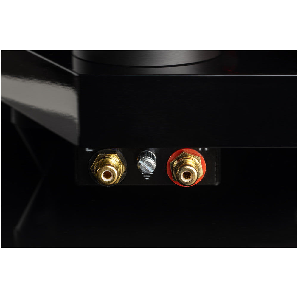 Pro-Ject AC/DC Artist Series Turntable
