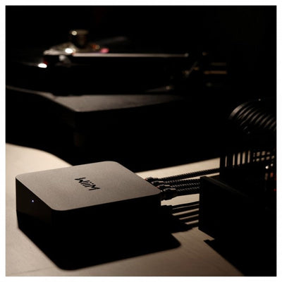 WiiM Pro Plus Audiophile Grade Multi-Room Music Streamer