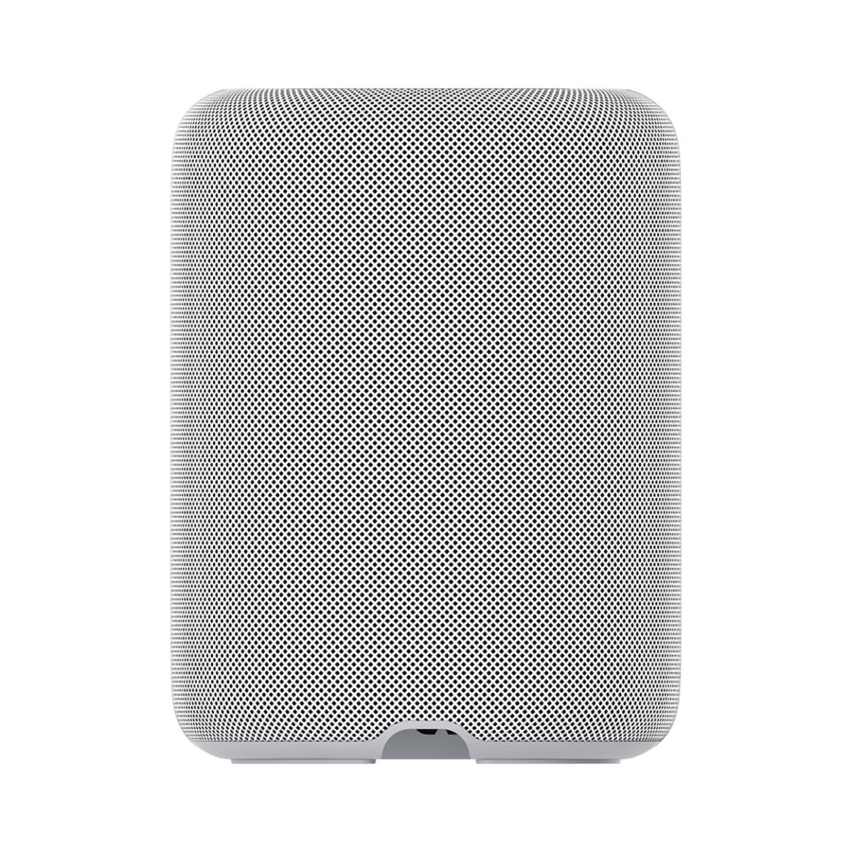 WiiM Sound Lite Wireless Smart Speaker with WiiM NorStone Floor Stand (Single) - White