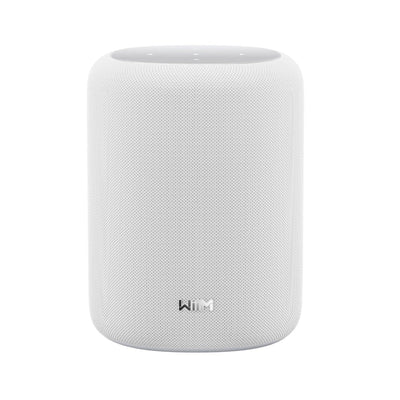 WiiM Sound Lite Wireless Smart Speaker with WiiM NorStone Floor Stand (Single) - White